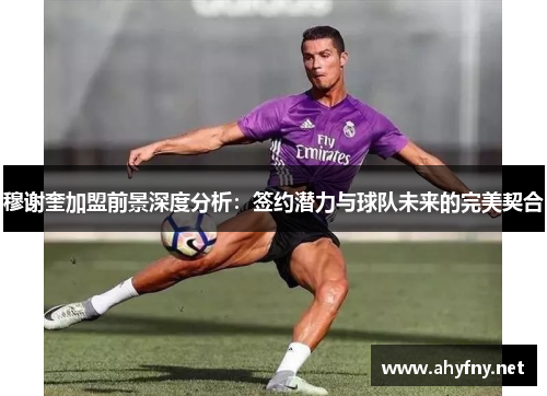 穆谢奎加盟前景深度分析：签约潜力与球队未来的完美契合