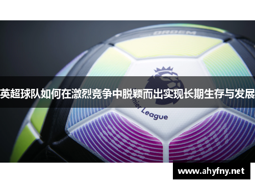 英超球队如何在激烈竞争中脱颖而出实现长期生存与发展